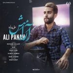 دانلود آهنگ جدید علی پناه با عنوان آرامش