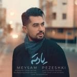 دانلود آهنگ جدید میثم پزشکی با عنوان یادته