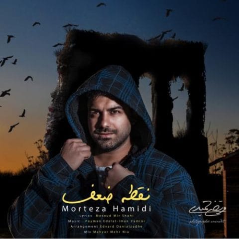 دانلود آهنگ جدید مرتضی حمیدی با عنوان نقطه ضعف
