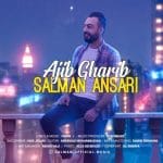 دانلود آهنگ جدید سلمان انصاری با عنوان عجیب غریب