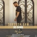 دانلود آهنگ جدید سروش سام با عنوان دو رنگی