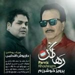 دانلود آهنگ جدید پرویز خوشرزم با عنوان رها کن