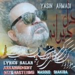 دانلود آهنگ جدید یاسین احمدی با عنوان دل دیوانه