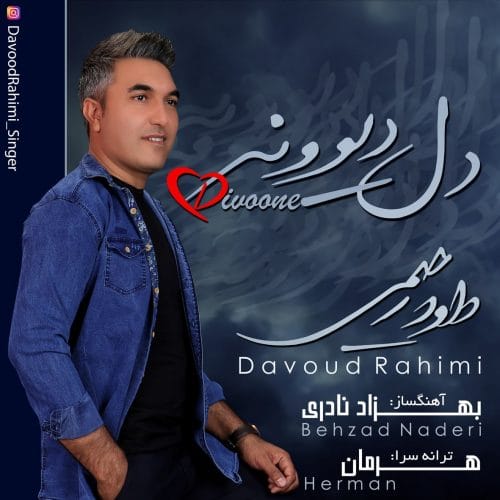 دانلود آهنگ جدید داود رحیمی با عنوان دل دیوونه