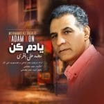 دانلود آهنگ جدید محمدعلی باقری با عنوان یادم کن