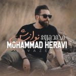 دانلود آهنگ جدید محمد هروی با عنوان نوازش