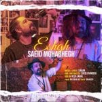 دانلود آهنگ جدید سعید محقق با عنوان عشق