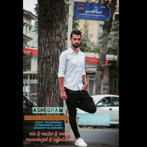 دانلود آهنگ جدید وحید کوچکی با عنوان عاشقم