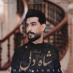 دانلود آهنگ جدید معین عقیلی با عنوان شاه دل