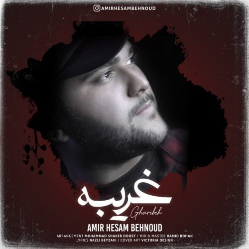 دانلود آهنگ جدید امیرحسام بهنود با عنوان غریبه
