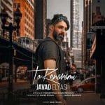 دانلود آهنگ جدید جواد الیاسی با عنوان تو کنارمی