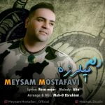 دانلود آهنگ جدید میثم مصطفوی با عنوان دلم میلرزه