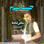 دانلود آهنگ جدید شاهین قنادها با عنوان حساسم