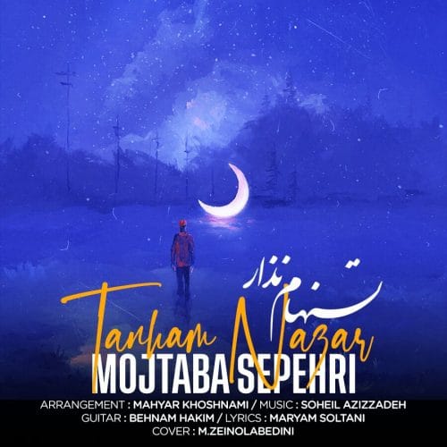 دانلود آهنگ جدید مجتبی سپهری با عنوان تنهام نذار