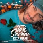 دانلود آهنگ جدید رضا میراب با عنوان تاج سرم
