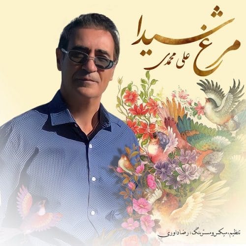 دانلود آهنگ جدید علی محمدی با عنوان مرغ شیدا