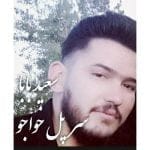 دانلود آهنگ جدید سعید بابا با عنوان سر پل خواجو