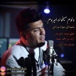 دانلود آهنگ جدید جواد جراحی با عنوان دلوم میخواد بمیرم