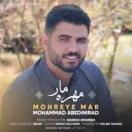دانلود آهنگ جدید محمد عابدینی راد با عنوان مهره‌ مار