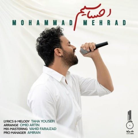 دانلود آهنگ جدید دانلود ورژن جدید آهنگ محمد مهراد با عنوان احساسیم