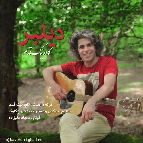 دانلود آهنگ جدید کاوه نیک قدم با عنوان دیلبر