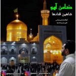 دانلود آهنگ جدید شاهین قنادها با عنوان ضامن آهو