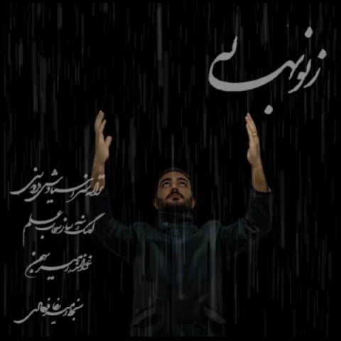 دانلود آهنگ جدید امیر بهمن با عنوان ز نو بهار