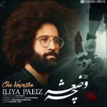 دانلود آهنگ جدید ایلیا پاییز با عنوان چه وضعشه