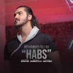 دانلود آهنگ جدید محمد فلاح با عنوان حبس