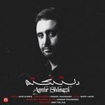دانلود آهنگ جدید امیر شیرازی با عنوان دلتنگتم