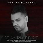 دانلود آهنگ جدید شهاب رمضان با عنوان دلم تنگه برات