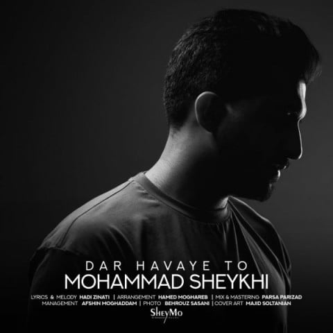 دانلود آهنگ جدید محمد شیخی با عنوان در هوای تو