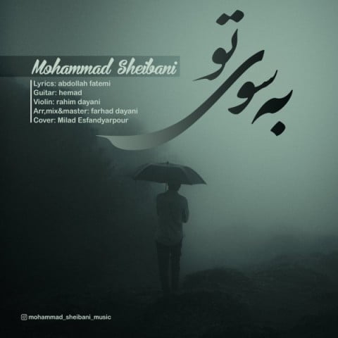 دانلود آهنگ جدید محمد شیبانی با عنوان به سوی تو