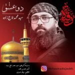 دانلود آهنگ جدید سید محمد تاج زاده با عنوان دو عشق