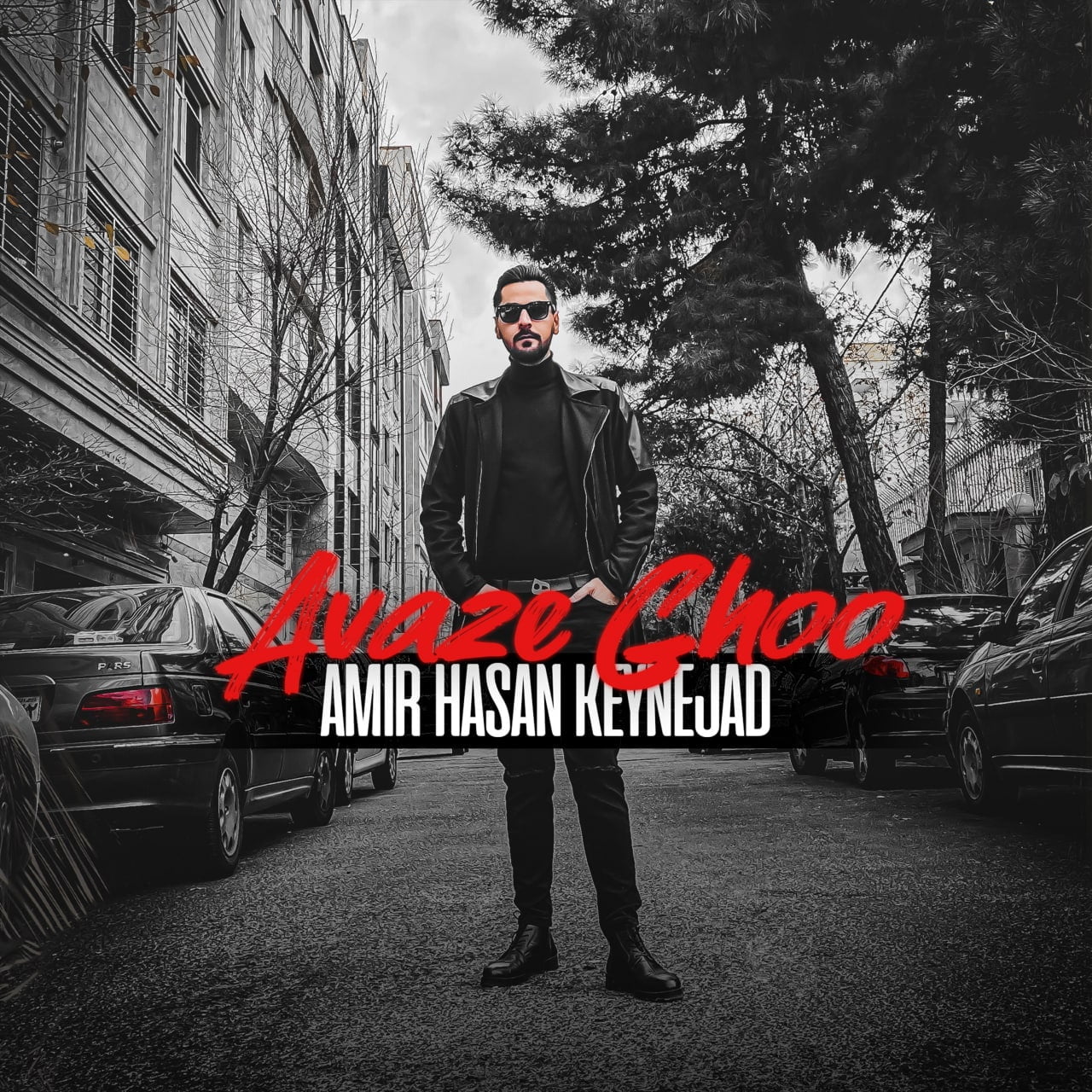 دانلود آهنگ جدید امیر حسن کی نژاد با عنوان آواز قو