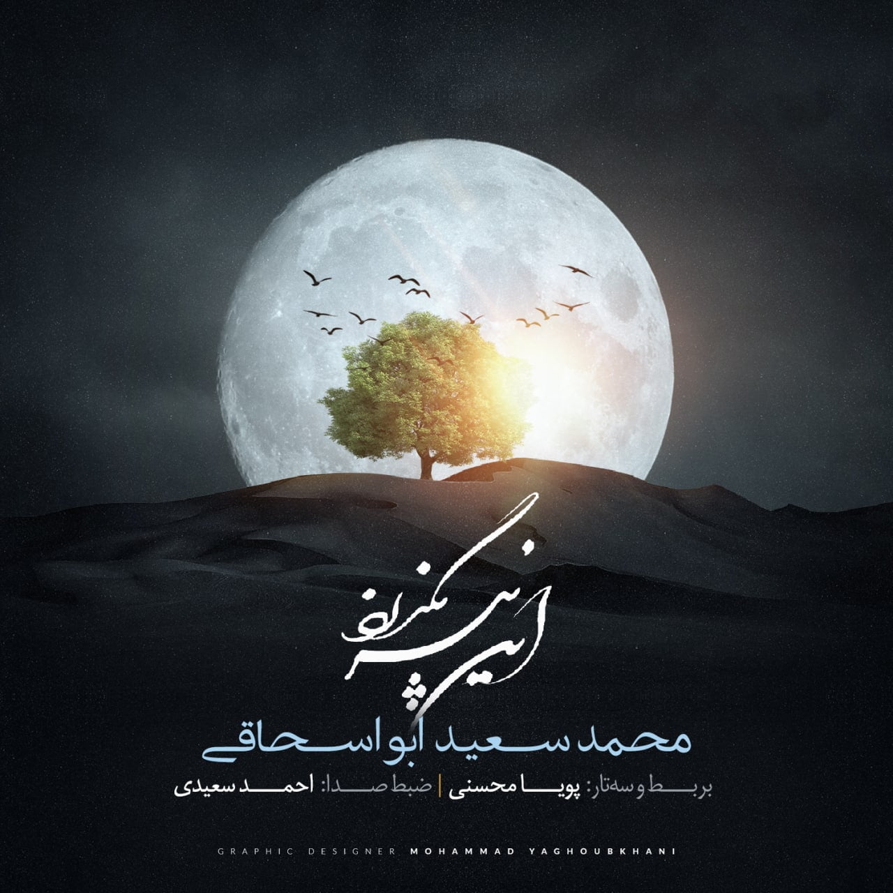 دانلود آهنگ جدید محمد سعید ابواسحاقی با عنوان این نیز بگذرد