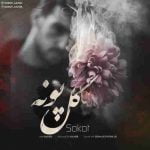 دانلود آهنگ جدید سکوت با عنوان گل پونه