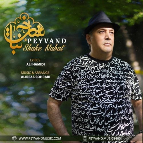 دانلود آهنگ جدید پیوند با عنوان شاخه نبات