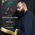 دانلود آهنگ جدید سید محمد تاج زاده با عنوان لالایی گلم