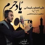 دانلود آهنگ جدید علی اصغر سلیمانی و ابویاسین با عنوان یاد حرم