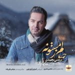 دانلود آهنگ جدید مرتضی محمدی با عنوان حالم زمستونه