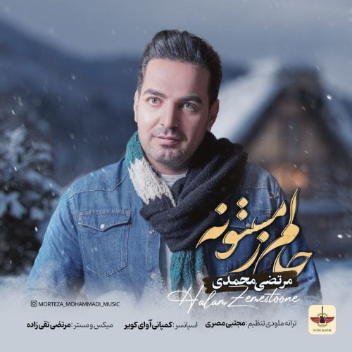 دانلود آهنگ جدید مرتضی محمدی با عنوان حالم زمستونه
