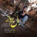 دانلود آهنگ جدید مهدی بسکی نیا با عنوان باله پرواز