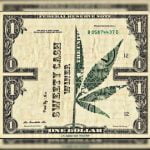 دانلود آهنگ جدید وینر با عنوان Sweety Cash