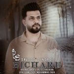 دانلود آهنگ جدید داوود اجنوردی با عنوان بیچاره