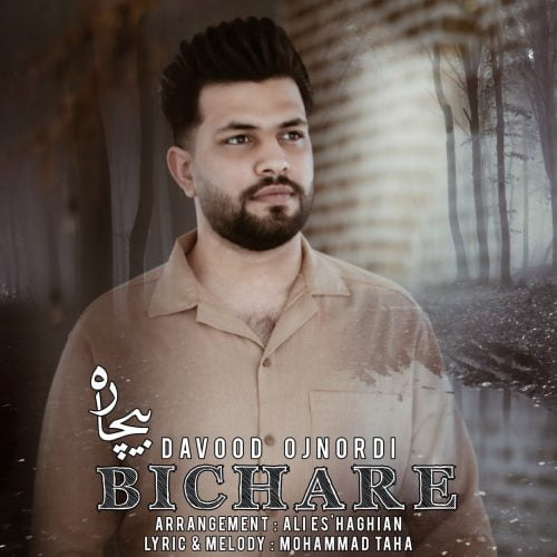 دانلود آهنگ جدید داوود اجنوردی با عنوان بیچاره