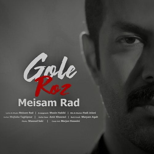 دانلود آهنگ جدید ميثم راد با عنوان گل رز
