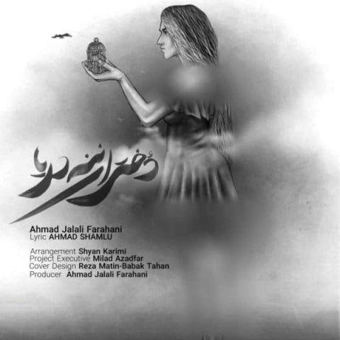دانلود آهنگ جدید احمد جلالی فراهانی با عنوان دختران ننه دریا