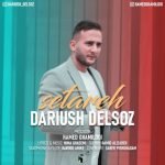 دانلود آهنگ جدید داریوش دلسوز با عنوان ستاره