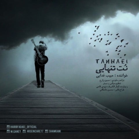 دانلود آهنگ جدید حبیب فدایی با عنوان نت تنهایی